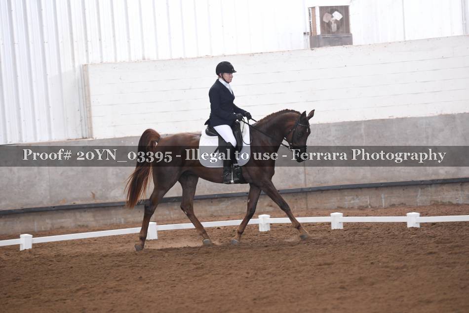 Proof 20YN_03395