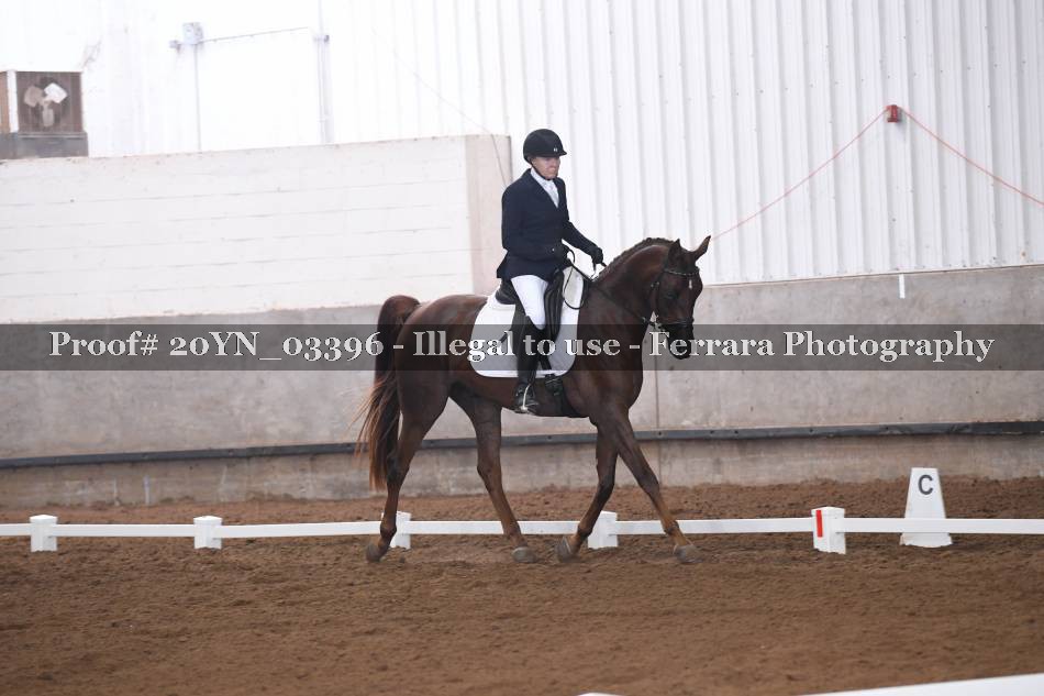 Proof 20YN_03396