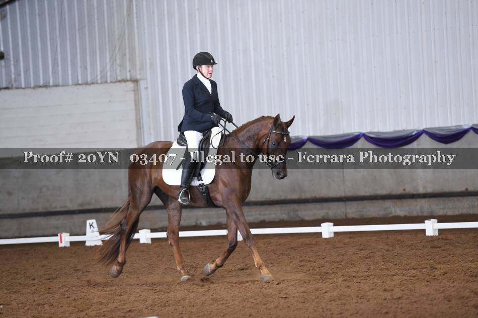 Proof 20YN_03407