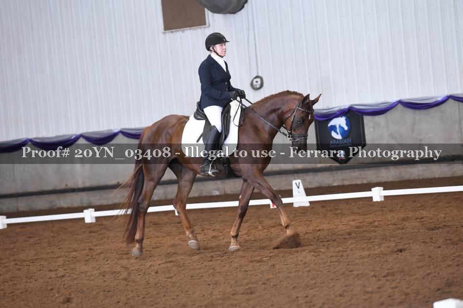 Proof 20YN_03408