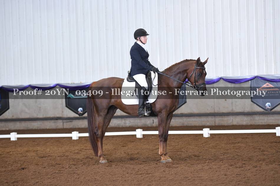 Proof 20YN_03409