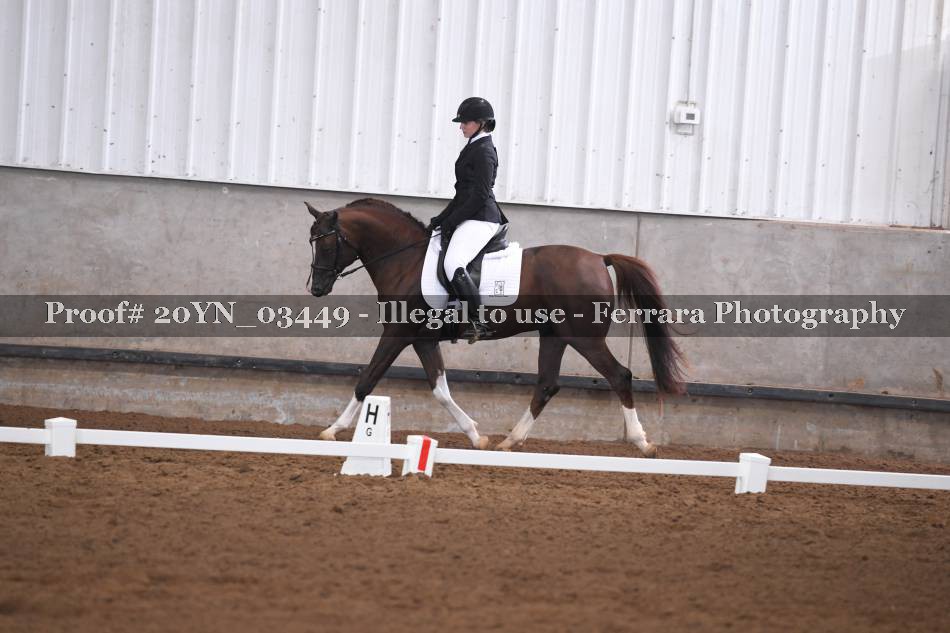Proof 20YN_03449