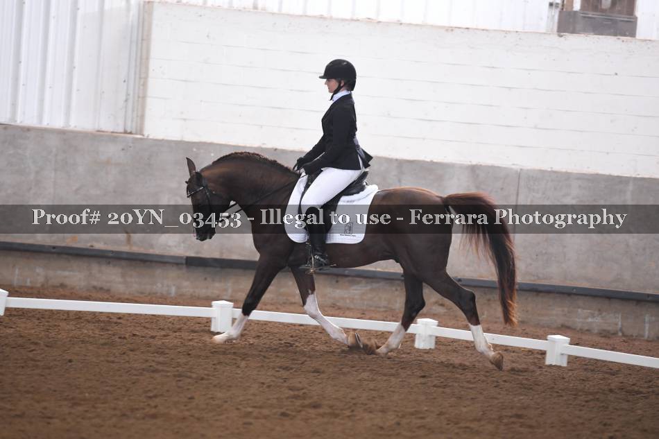 Proof 20YN_03453