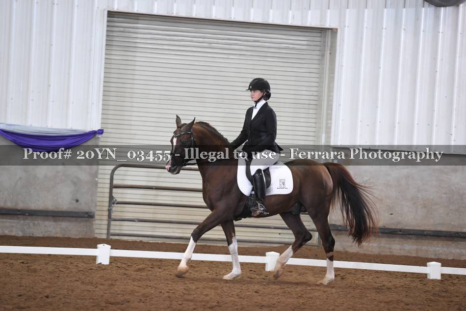Proof 20YN_03455