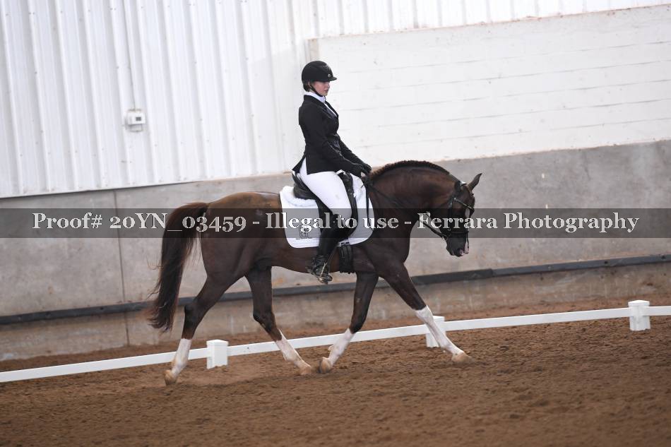 Proof 20YN_03459