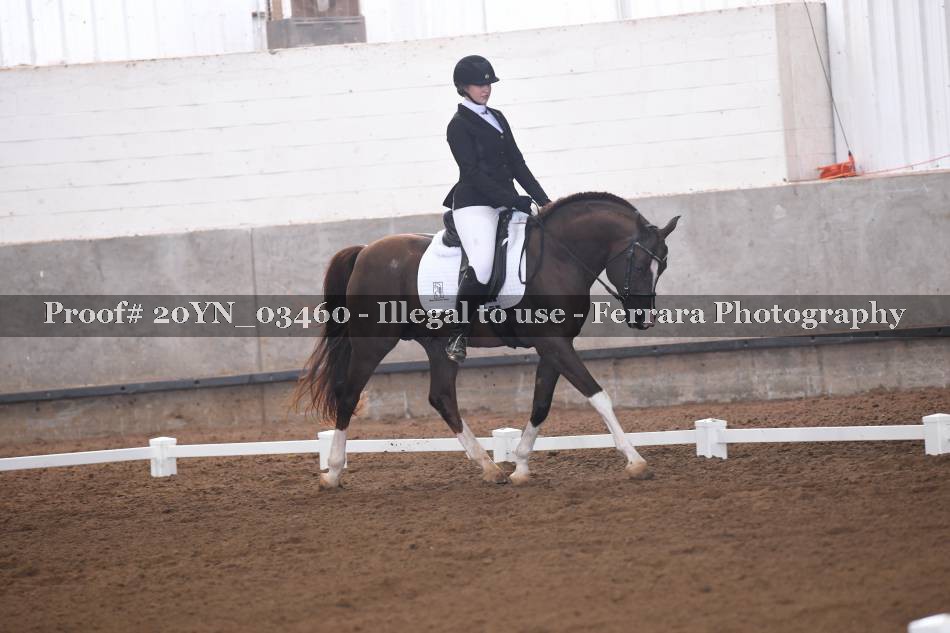 Proof 20YN_03460