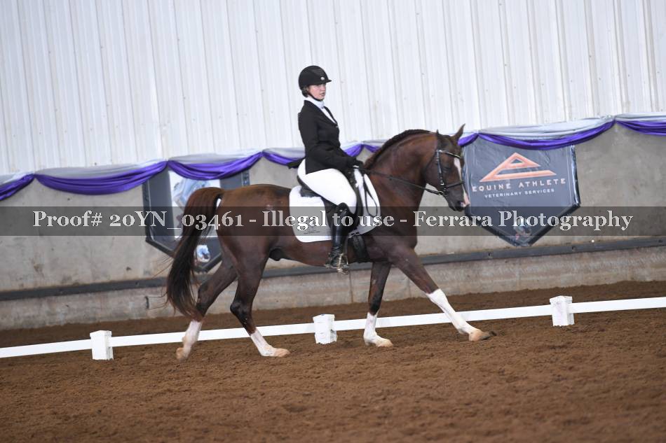 Proof 20YN_03461