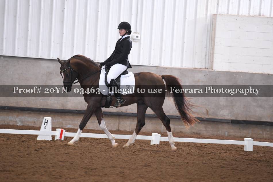 Proof 20YN_03463