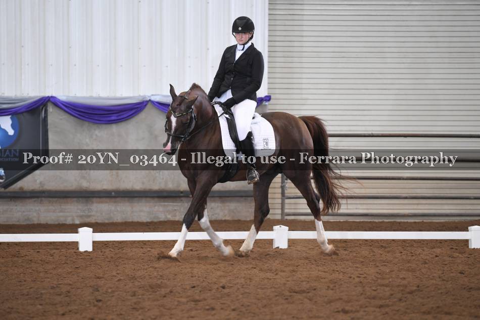 Proof 20YN_03464
