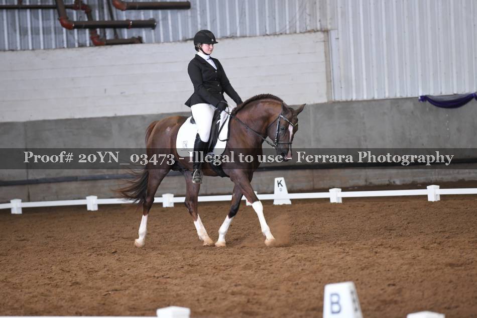 Proof 20YN_03473