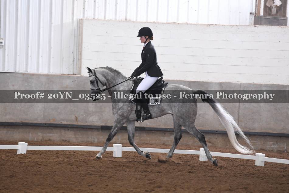 Proof 20YN_03525