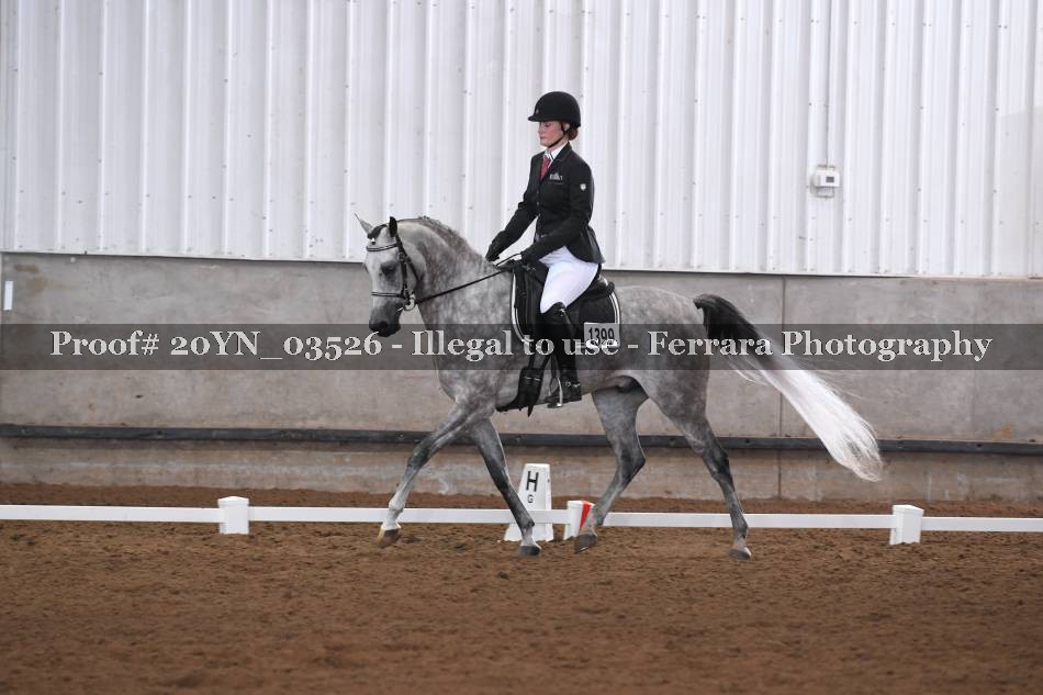 Proof 20YN_03526