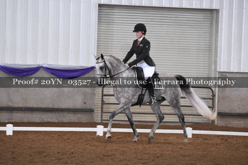Proof 20YN_03527
