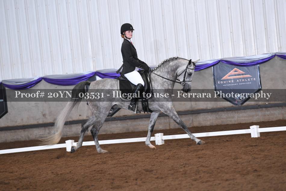 Proof 20YN_03531