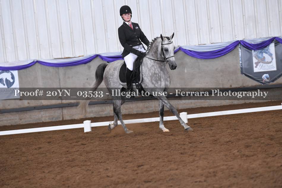 Proof 20YN_03533