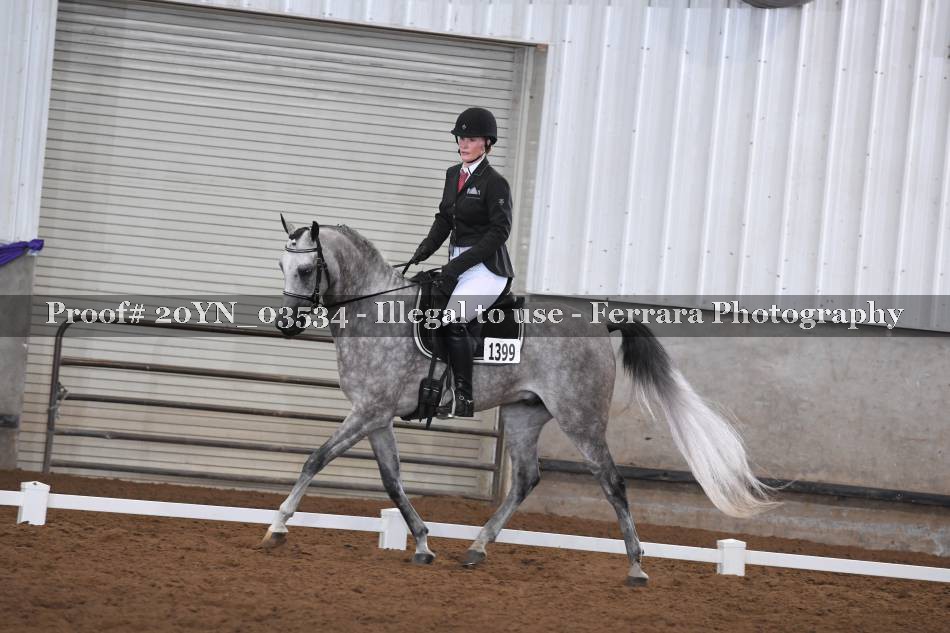 Proof 20YN_03534