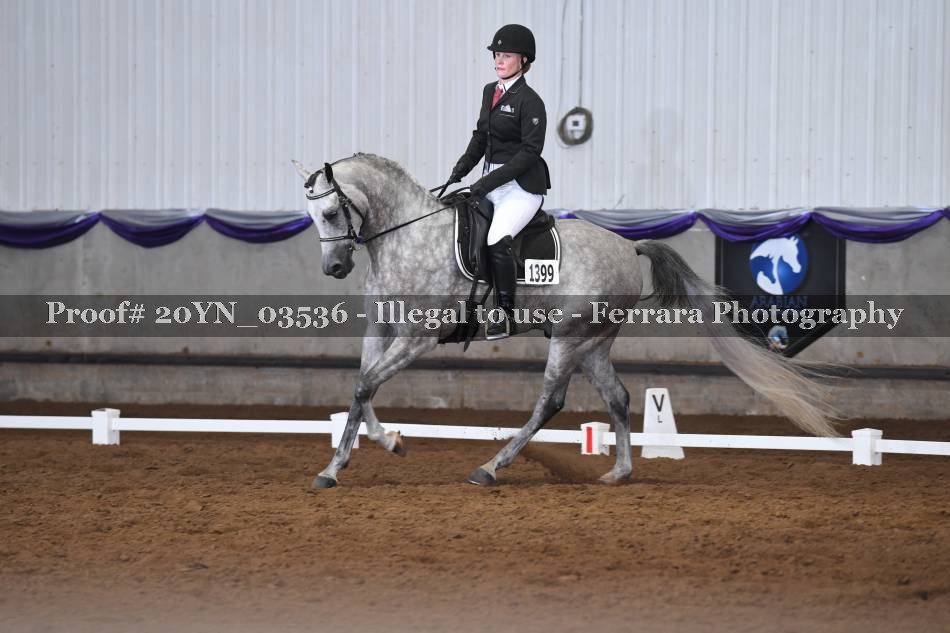 Proof 20YN_03536