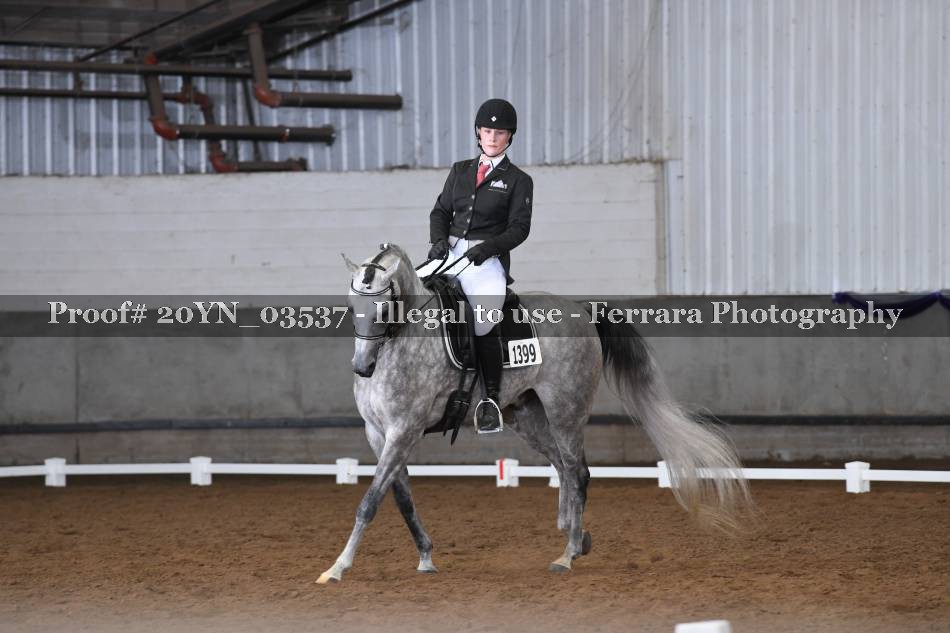 Proof 20YN_03537