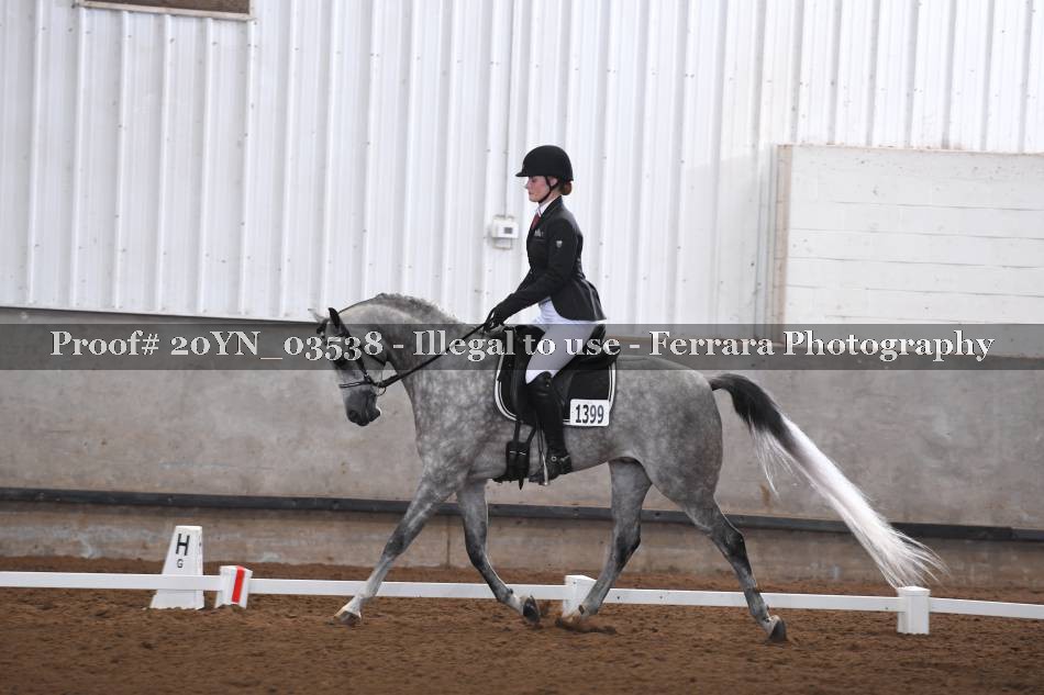 Proof 20YN_03538