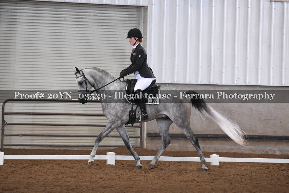 Proof 20YN_03539