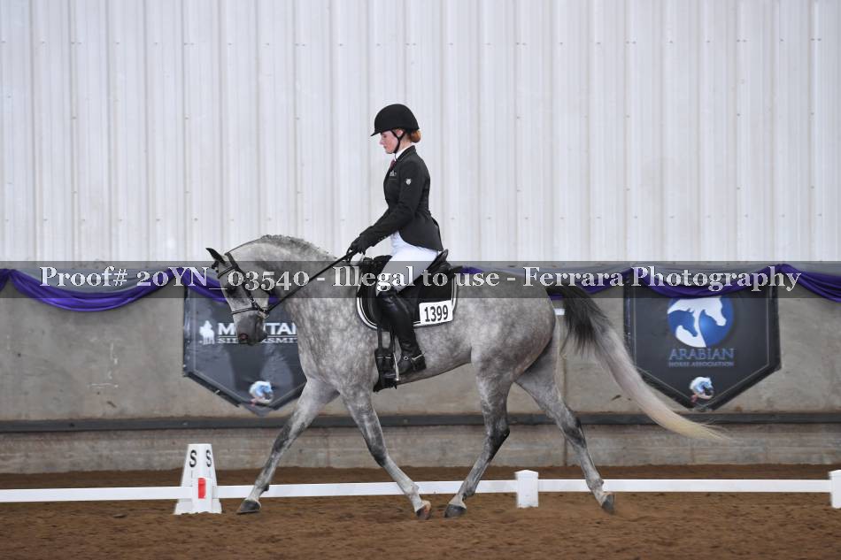 Proof 20YN_03540