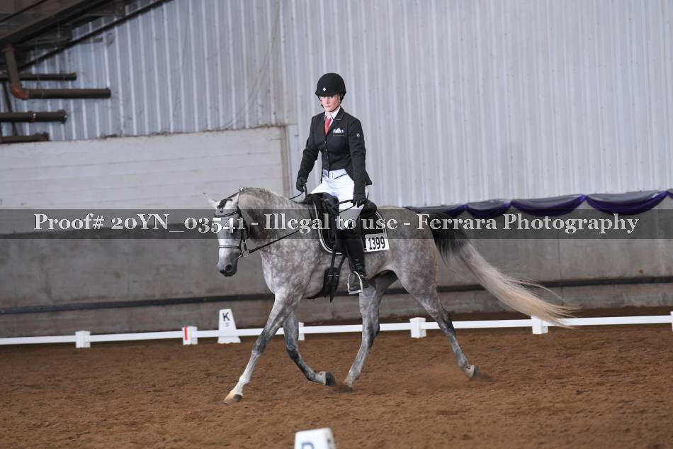 Proof 20YN_03541