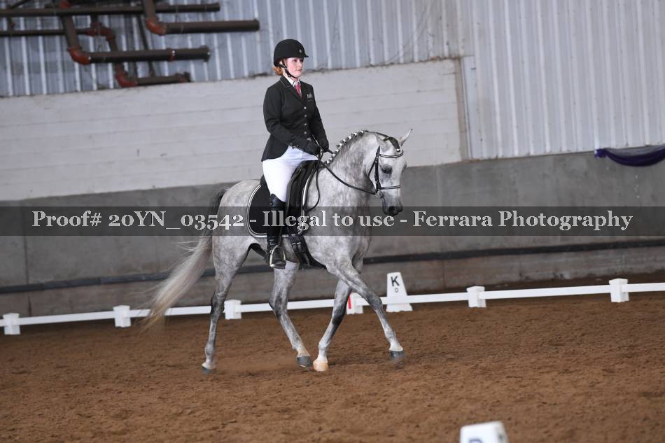 Proof 20YN_03542