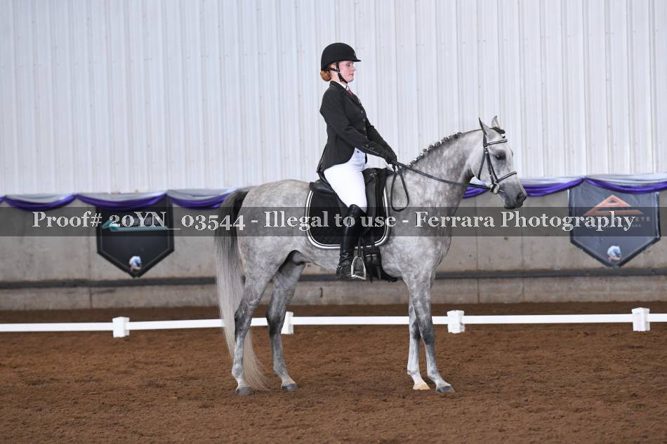 Proof 20YN_03544