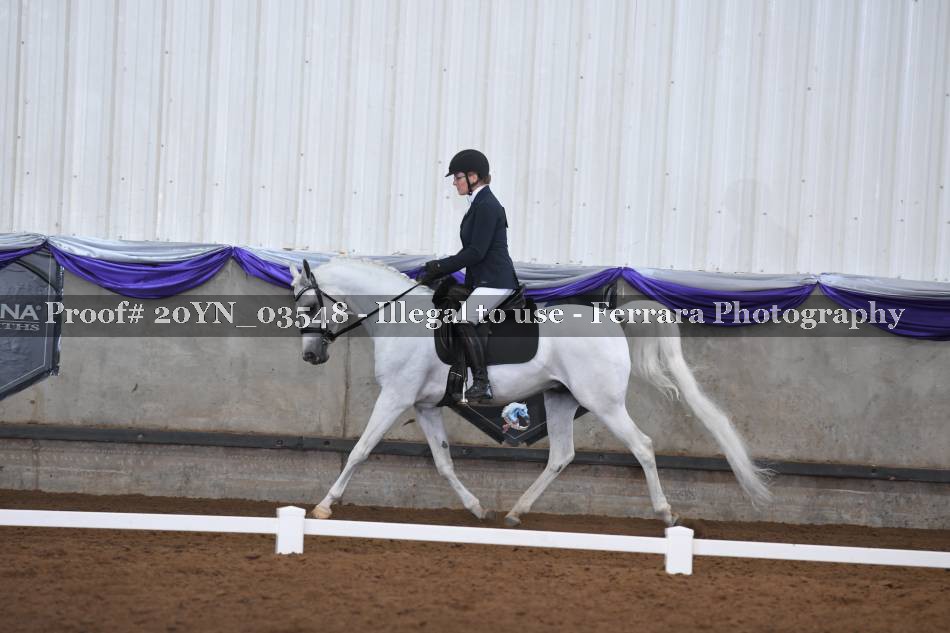Proof 20YN_03548