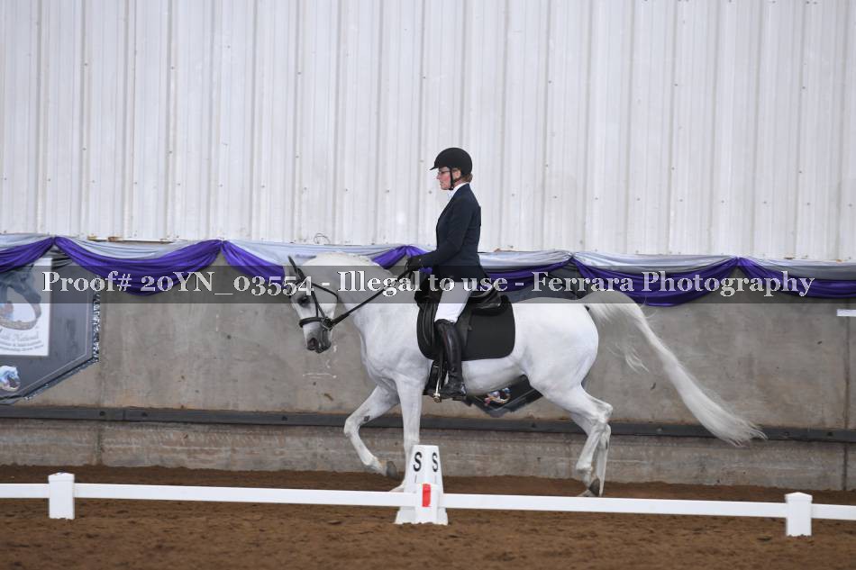 Proof 20YN_03554