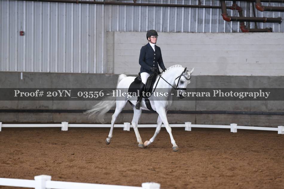 Proof 20YN_03556