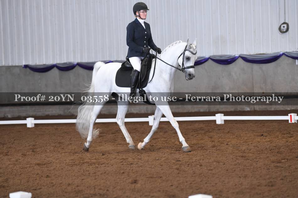 Proof 20YN_03558
