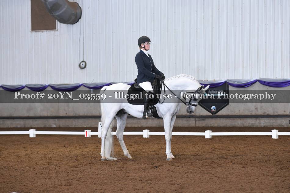 Proof 20YN_03559