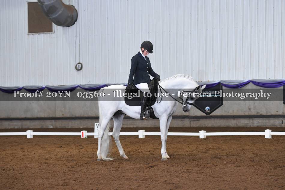 Proof 20YN_03560