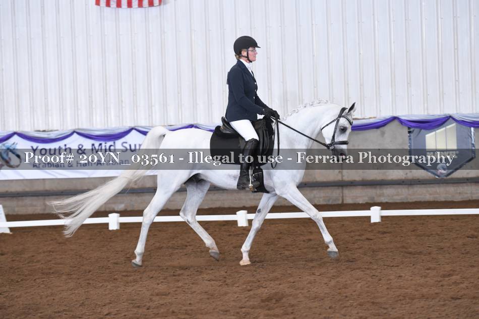 Proof 20YN_03561