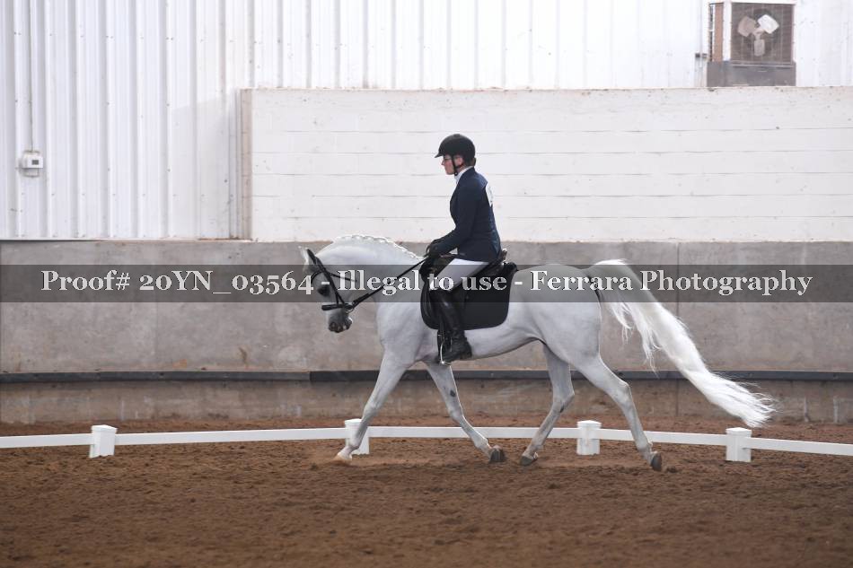 Proof 20YN_03564