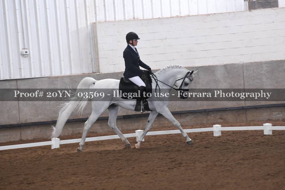 Proof 20YN_03569