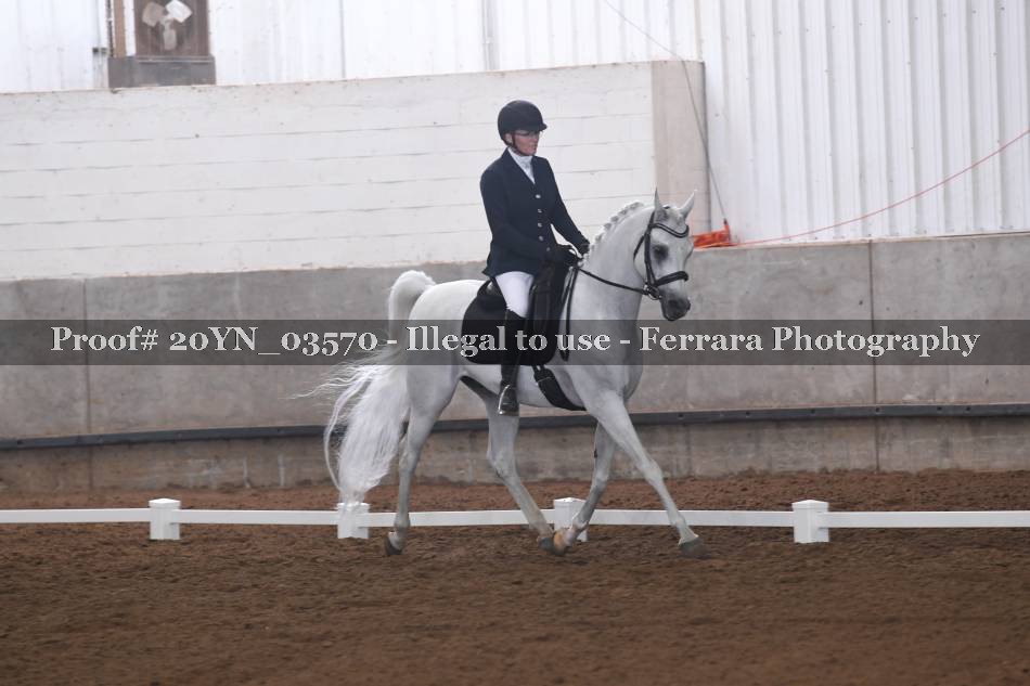 Proof 20YN_03570