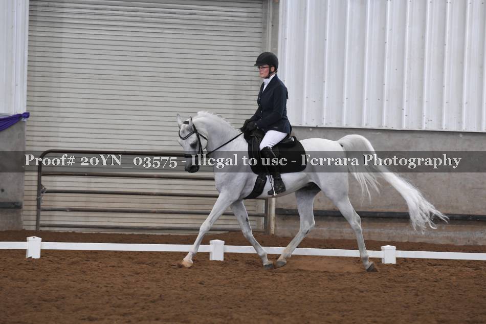 Proof 20YN_03575