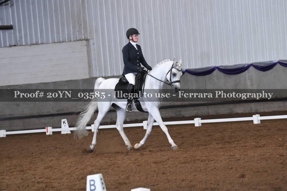 Proof 20YN_03585