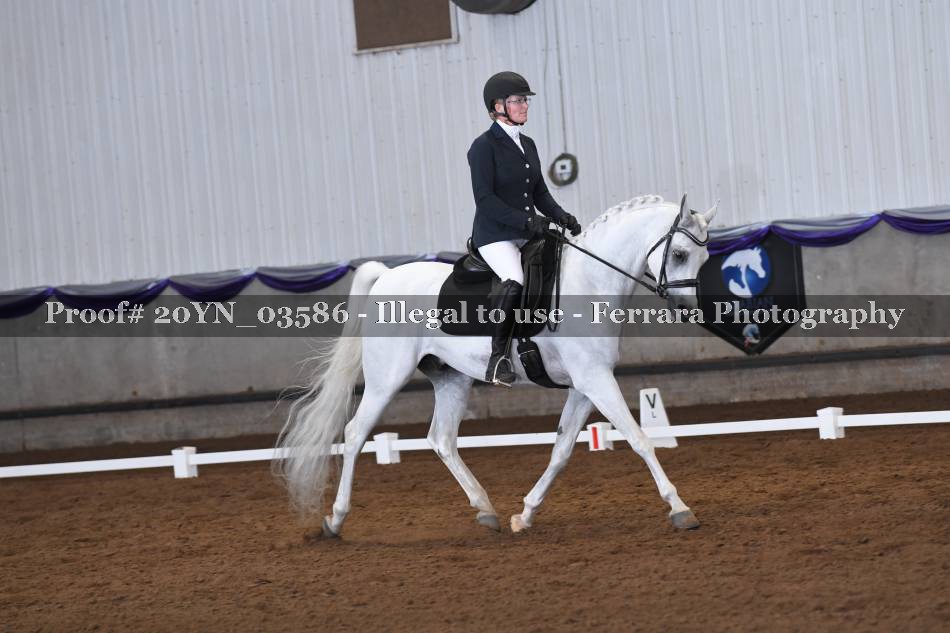 Proof 20YN_03586