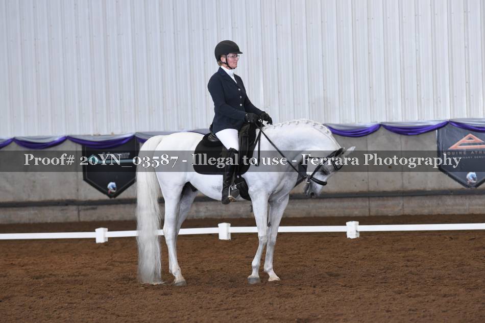 Proof 20YN_03587