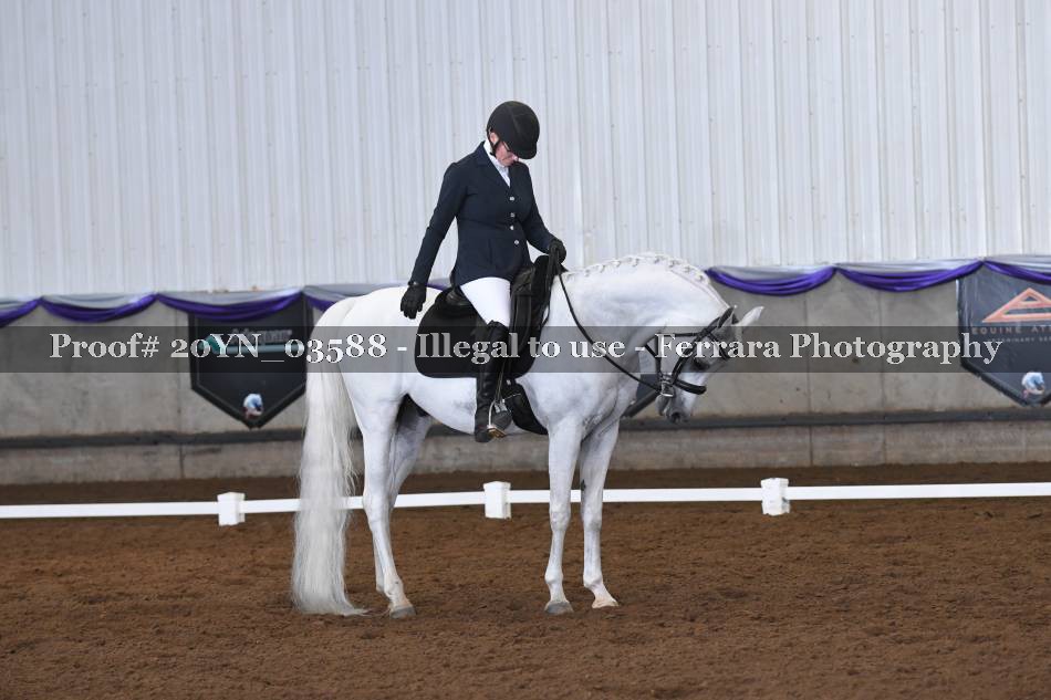 Proof 20YN_03588