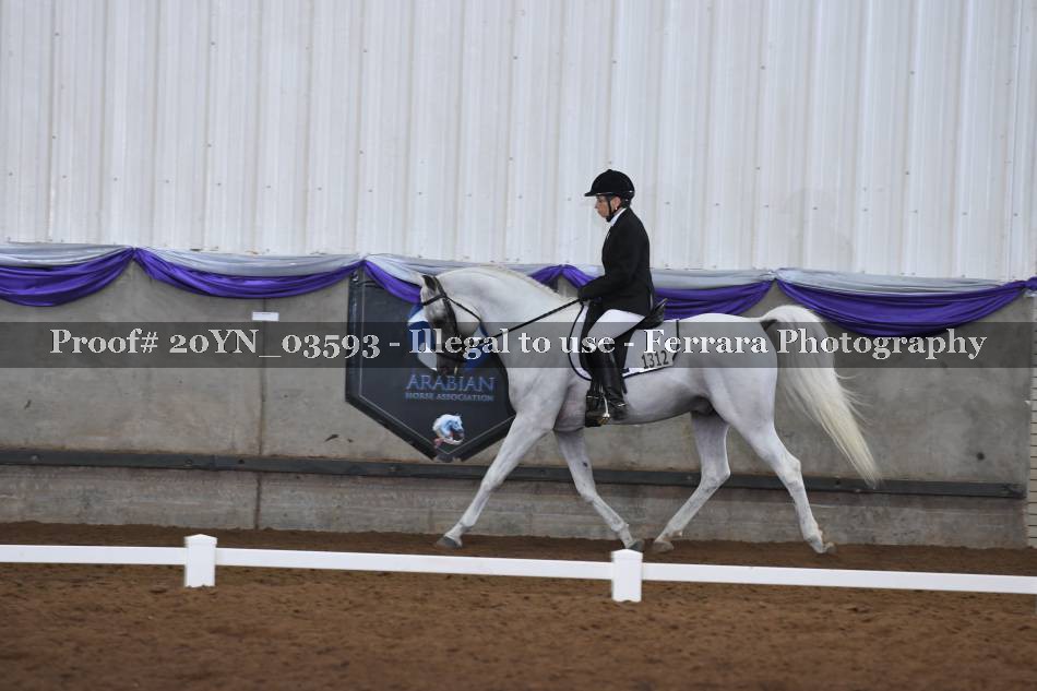 Proof 20YN_03593