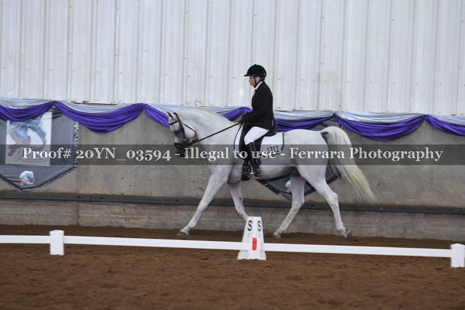 Proof 20YN_03594