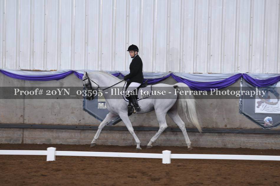 Proof 20YN_03595