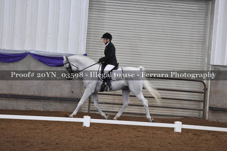 Proof 20YN_03598