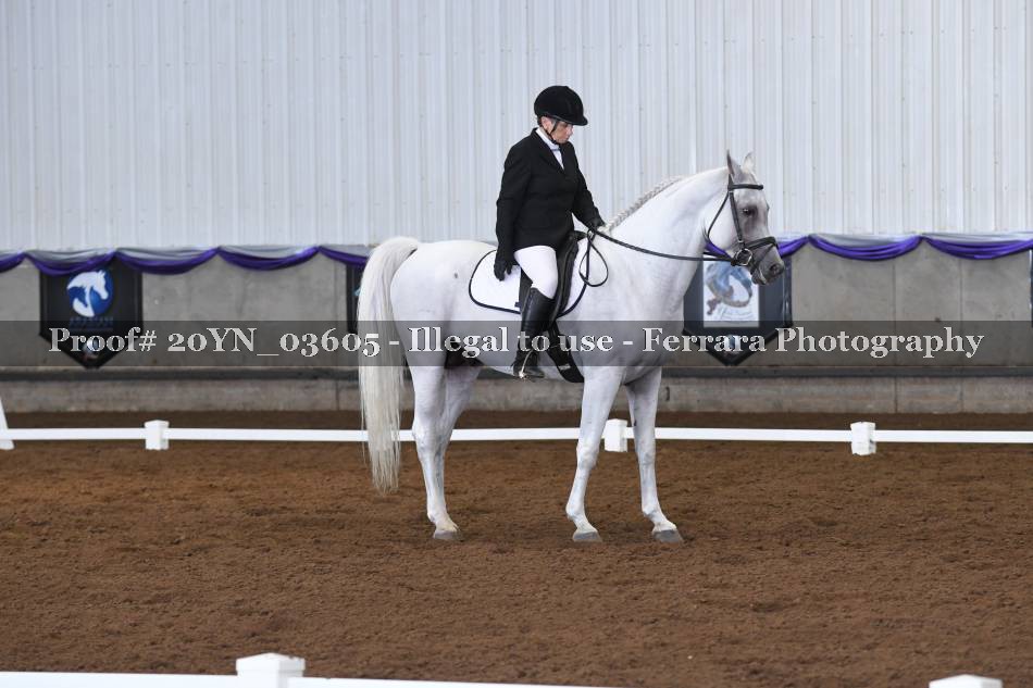 Proof 20YN_03605