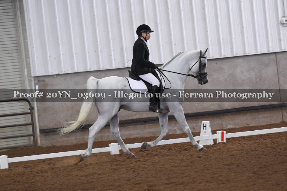 Proof 20YN_03609
