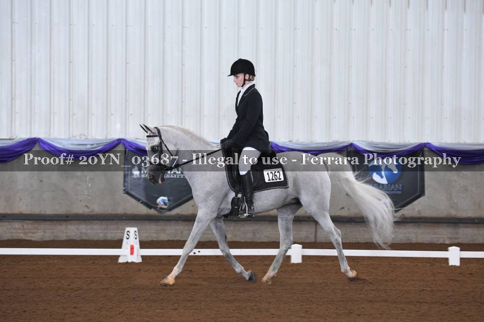 Proof 20YN_03687